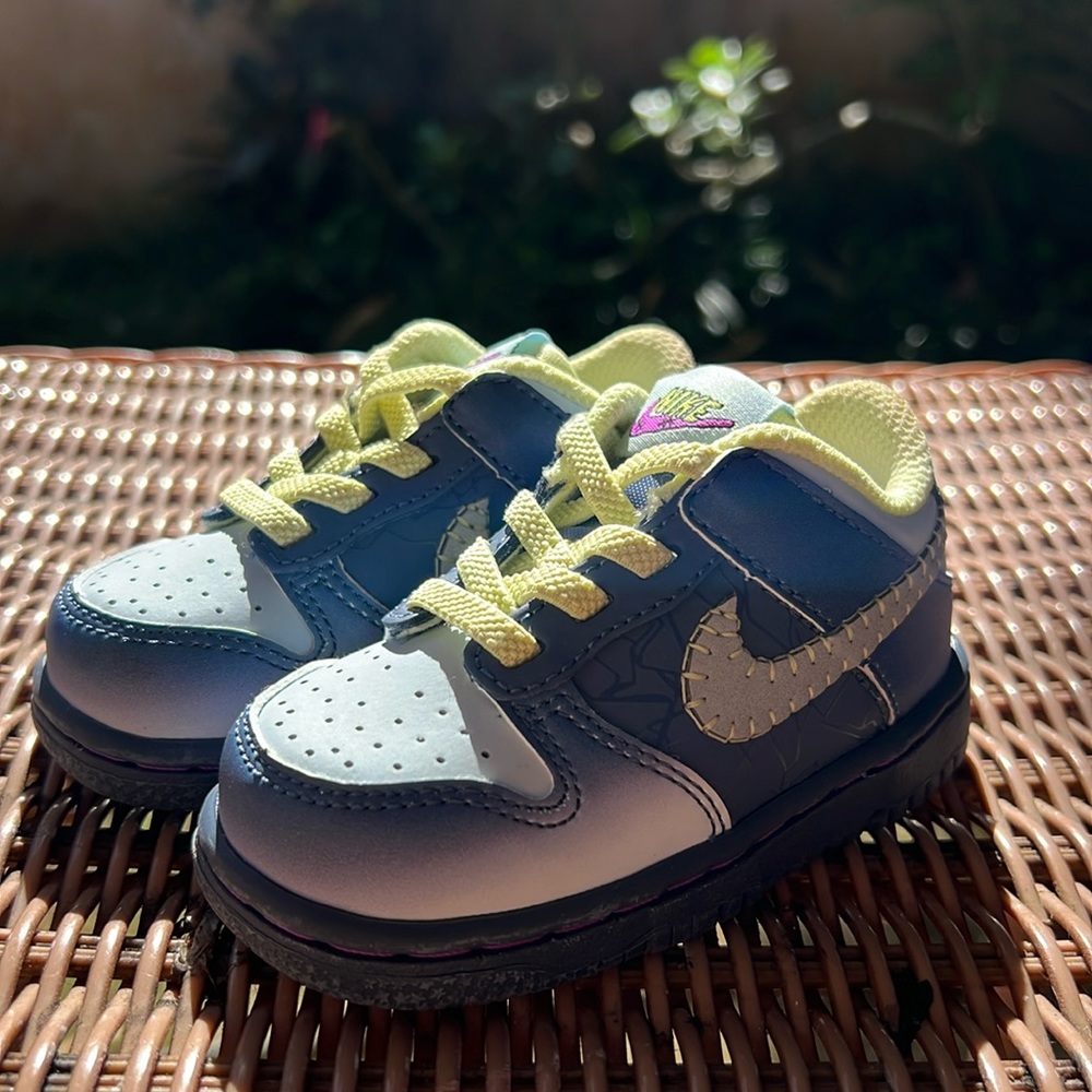 Nike dunk low.  Toddler Nike shoes